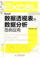 Excel数据透视表与数据分析范例应用-附光盘