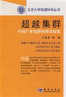 超越集群-中国产业集群的理论探索