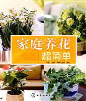家庭养花超简单