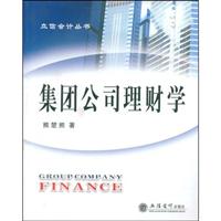 集团公司理财学(立信会计丛书)(Group company finance)
