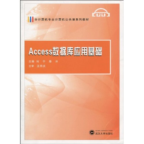 Access数据库应用基础