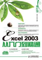 外行学Excel 2003从入门到精通-附光盘