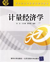 计量经济学(现代经济与管理类规划教材)