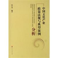 中国文化产业政策法规与典型案例分析