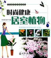 时尚健康居室植物