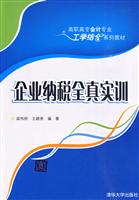 企业纳税全真实训
