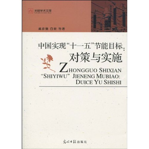 中国实现“十一五”节能目标:对策与实施