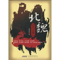 北魏风云录