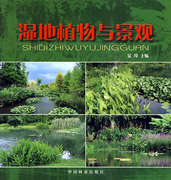 湿地植物与景观