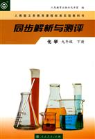 化学(九年级)(下册)(人教版)-同步解析与测评