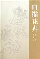 菊花-白描花卉