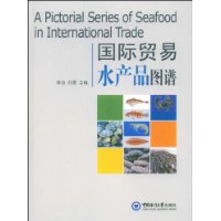 关于中国贸易新图谱的研究生毕业论文开题报告范文