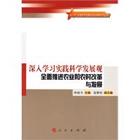 中小企业成长中的融资瓶颈与信用突破