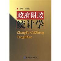 政府财政统计学