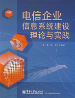 电信企业信系统建设理论与实践