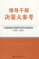 领导干部决策大参考:中国战略机遇期的经济发展报告(2005--2020)