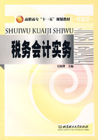 税务会计实务