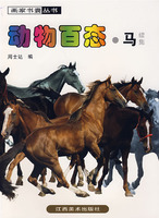 动物百态-马(续集)
