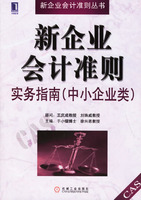 新企业会计准则实务指南