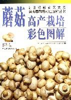 蘑菇高产栽培彩色图解