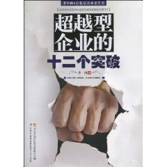 超越企业的十二个突破