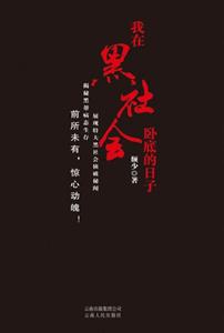 我在黑社会卧底的日子
