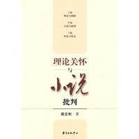 理论关怀与小说批判