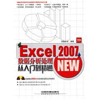 Excel 2007数据分析处理从入门到精通-附赠光盘