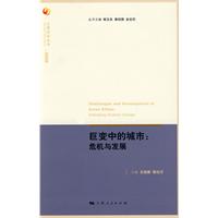 巨变中的城市-危机与发展