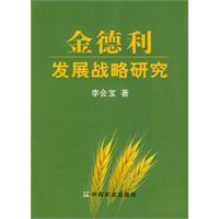 金德利发展战略研究