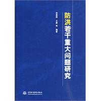 防洪若干重大问题研究
