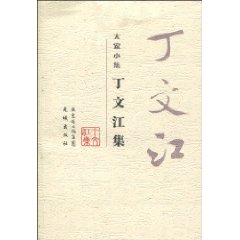 丁文江集-大家小集