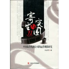 寄生与突围:中国民营电视公司的运营现状研究