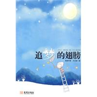 追梦的翅膀