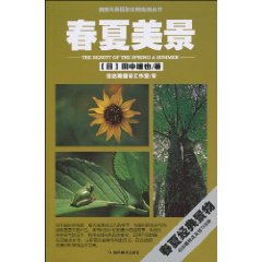 春夏美景实例