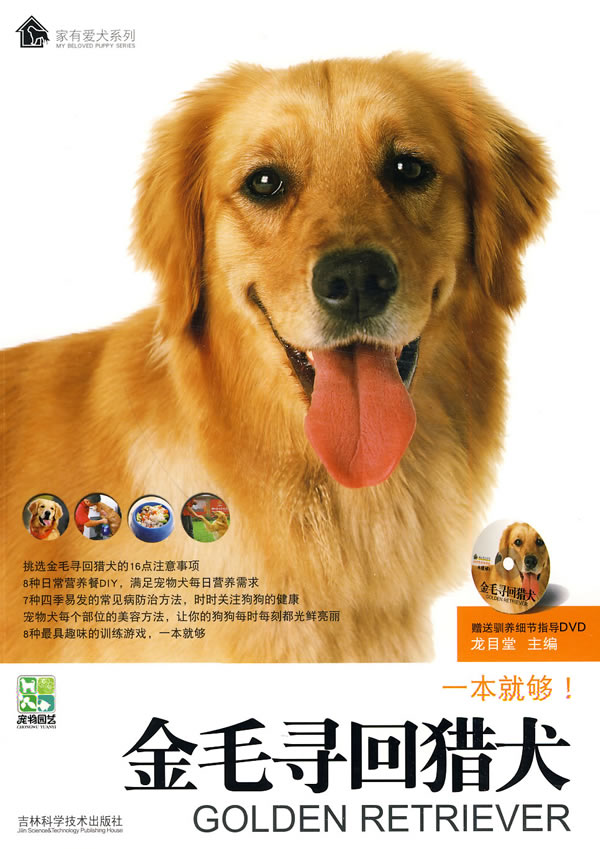 金毛寻回猎犬-赠送驯养细节指导DVD