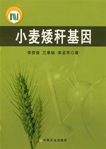 小麦矮秆基因