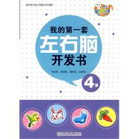 4岁-我的第一套左右脑开发书