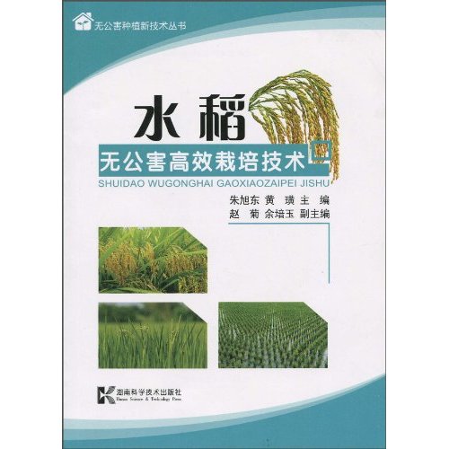 水稻无公害高效栽培技术