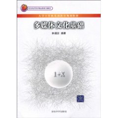 多媒体文化基础
