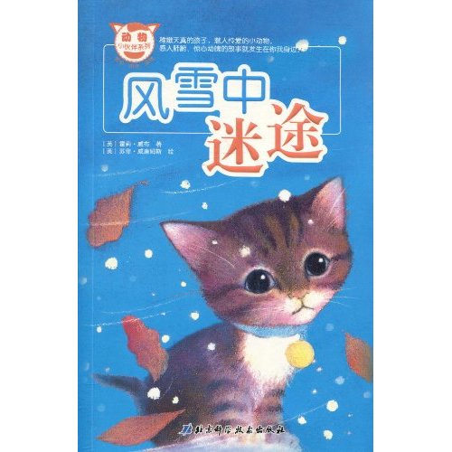 风雪中迷途