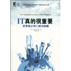 IT真的很重要-世界级公司的成功战略