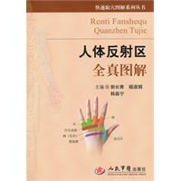 人体反射区全真图解