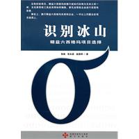 识别冰山-精益六格西码项目选择
