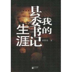 我的县委书记生涯