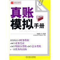真账模拟手册