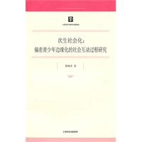 次生社会化偏差青少年边缘化的社会互动过程研究