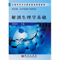 解剖生理学基础