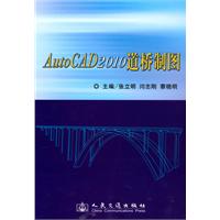 AutoCAD 2010道桥制图