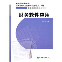 财务软件应用